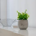 Appartement Garrù24 - Centro *